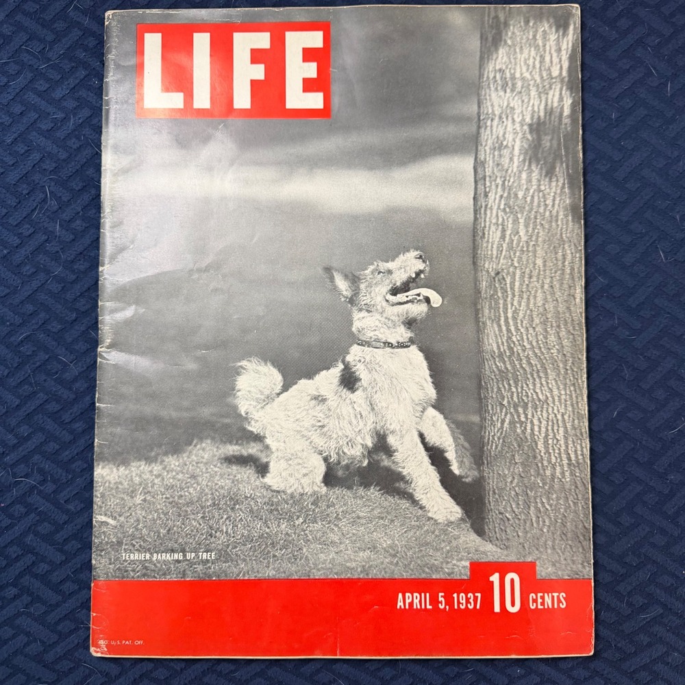 LIFE Magazine April 5 1937 Terrier Dog Cover Vintage 1930s News Ads Ephemera